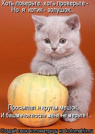 Хоть поверьте, хоть проверьте - Но я котик - золушок... Просыпал я крупы мешок, И башмачок после ме... Котоматрица: Хоть поверьте, хоть проверьте - Но я котик - золушок... Просыпал я крупы мешок, И башмачок после меня не мерьте !...