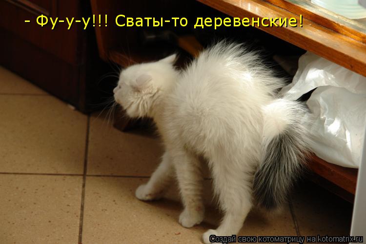 - Фу-у-у!!! Сваты-то деревенские!... Котоматрица: - Фу-у-у!!! Сваты-то деревенские!