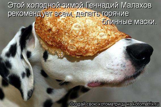блинные маски. Этой холодной зимой Геннадий Малахов рекомендует всем, делать горячие... Котоматрица: блинные маски. Этой холодной зимой Геннадий Малахов рекомендует всем, делать горячие