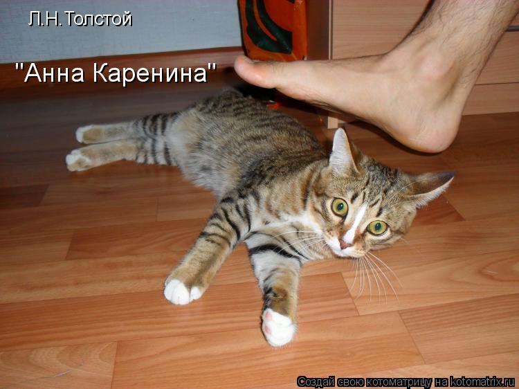 Л.Н.Толстой "Анна Каренина"... Котоматрица: Л.Н.Толстой "Анна Каренина"