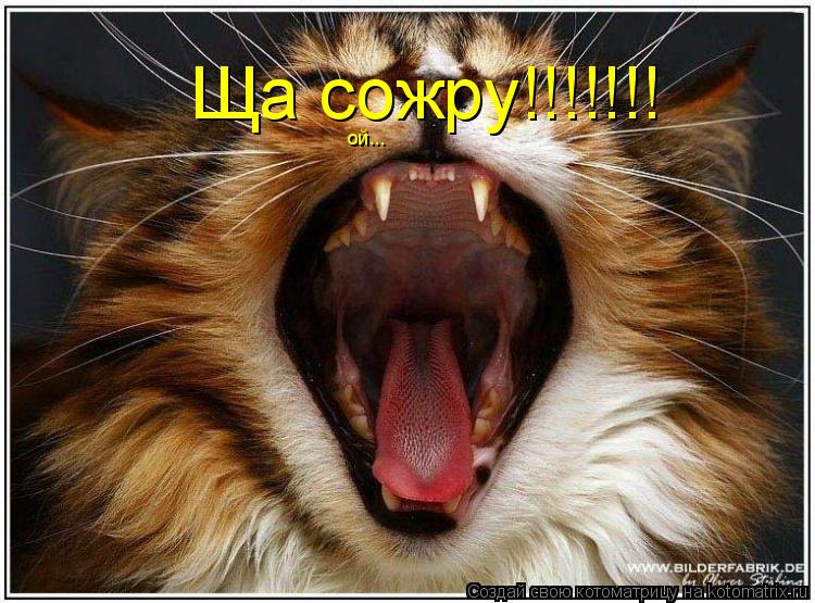 Ща сожру!!!!!!! ой...... Котоматрица: Ща сожру!!!!!!! ой...