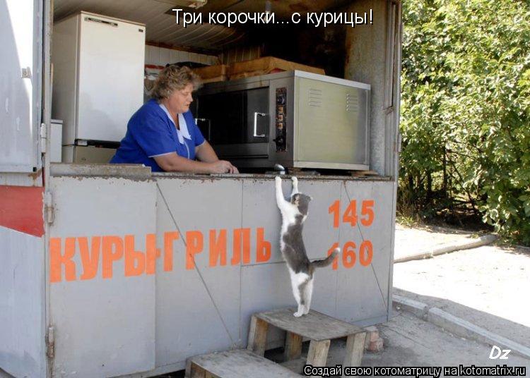 Котоматрица: Три корочки...с курицы!