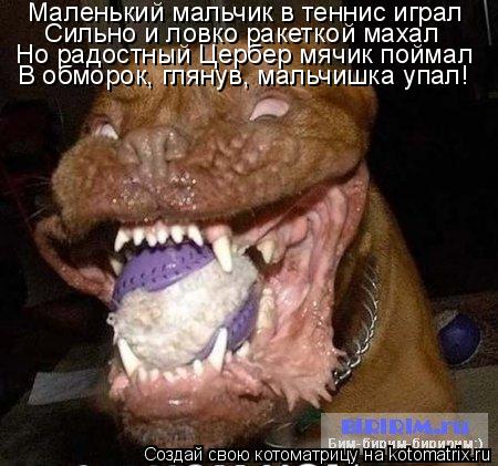 Маленький мальчик в теннис играл Сильно и ловко ракеткой махал Но радостный Цербер мячик поймал В обм... Котоматрица: Маленький мальчик в теннис играл Сильно и ловко ракеткой махал Но радостный Цербер мячик поймал В обморок, глянув, мальчишка упал!