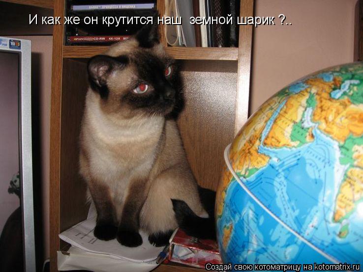 Котоматрица: И как же он крутится наш  земной шарик ?..
