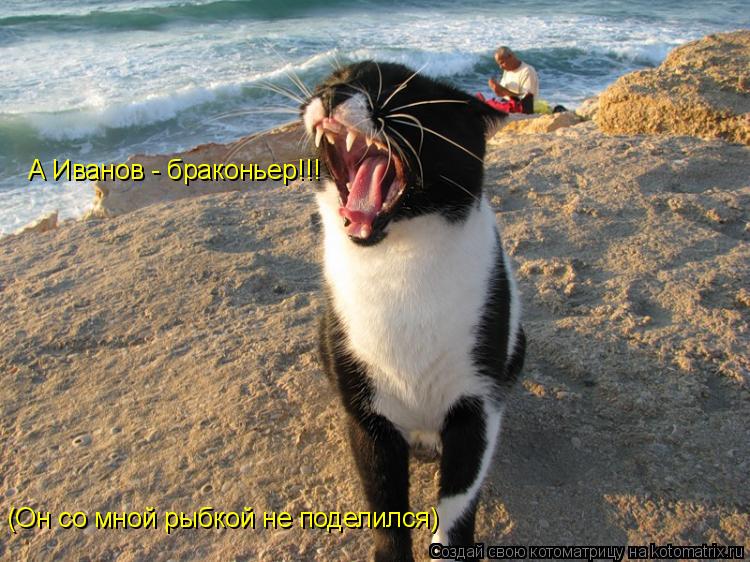 Котоматрица: А Иванов - браконьер!!! (Он со мной рыбкой не поделился)