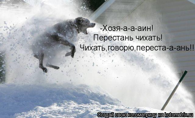 Котоматрица: -Хозя-а-а-аин!  Перестань чихать! Чихать,говорю,переста-а-ань!!!