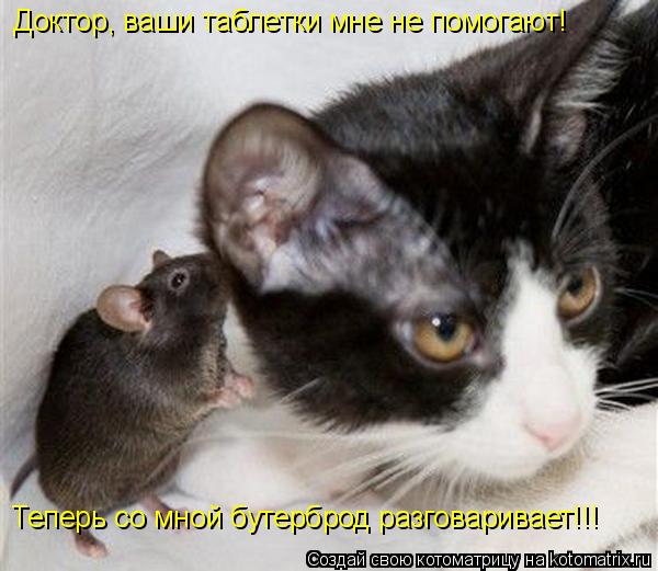 Котоматрица: Доктор, ваши таблетки мне не помогают! Теперь со мной бутерброд разговаривает!!!