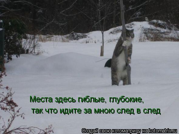 Места здесь гиблые, глубокие, так что идите за мною след в след... Котоматрица: Места здесь гиблые, глубокие, так что идите за мною след в след