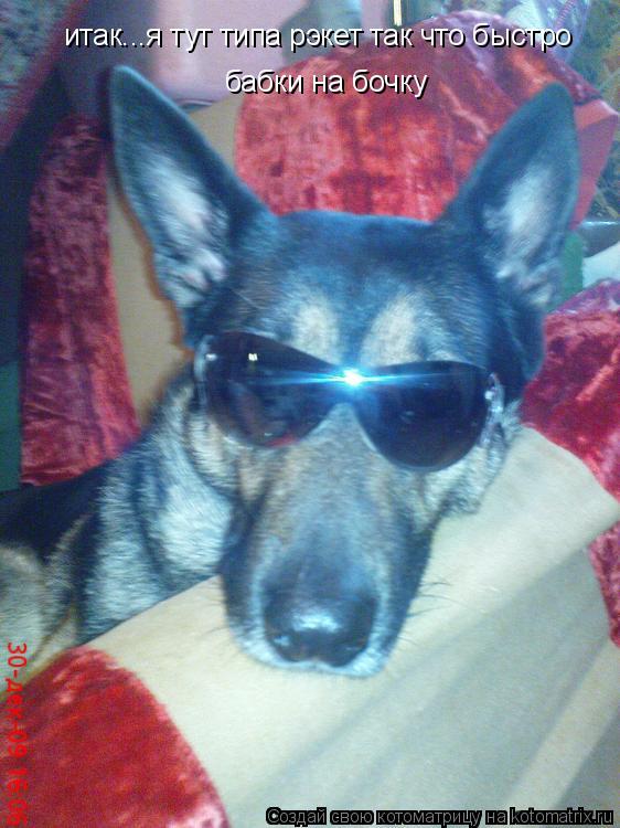 итак...я тут типа рэкет так что быстро бабки на бочку... Котоматрица: итак...я тут типа рэкет так что быстро бабки на бочку