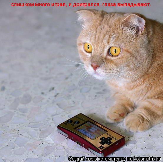 слишком много играл, и доигрался. глаза выпадывают.... Котоматрица: слишком много играл, и доигрался. глаза выпадывают.