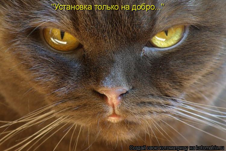Котоматрица: "Установка только на добро..."