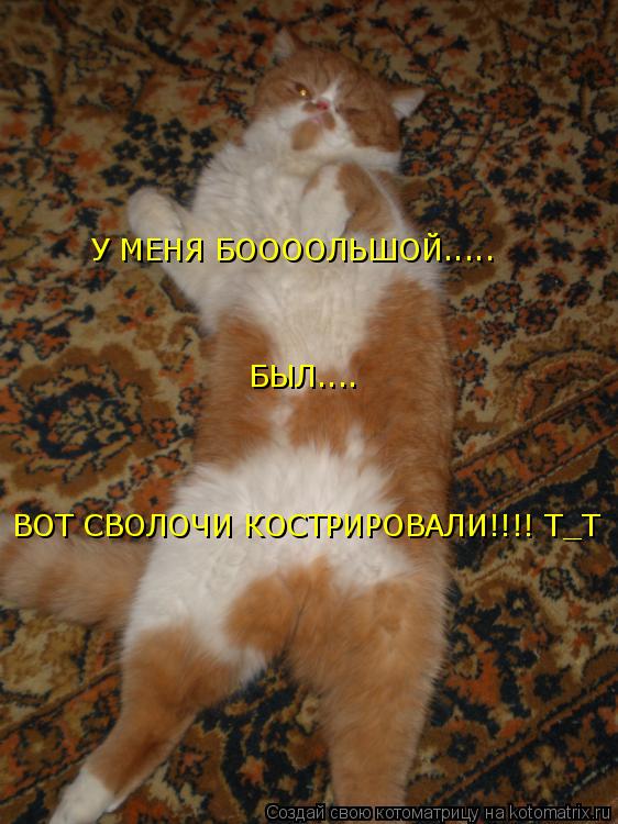 ВОТ СВОЛОЧИ КОСТРИРОВАЛИ!!!! Т_Т У МЕНЯ БООООЛЬШОЙ..... БЫЛ....... Котоматрица: ВОТ СВОЛОЧИ КОСТРИРОВАЛИ!!!! Т_Т У МЕНЯ БООООЛЬШОЙ..... БЫЛ....