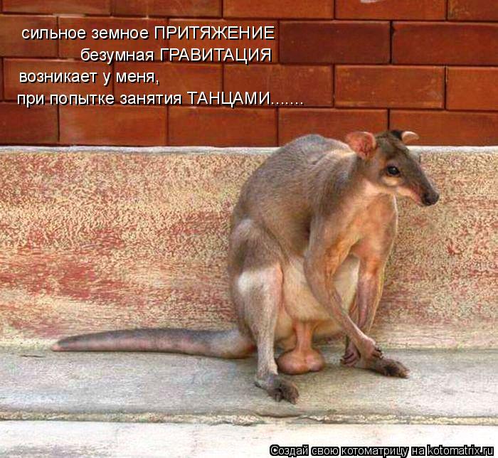 Котоматрица: сильное земное ПРИТЯЖЕНИЕ  безумная ГРАВИТАЦИЯ возникает у меня, при попытке занятия ТАНЦАМИ.......