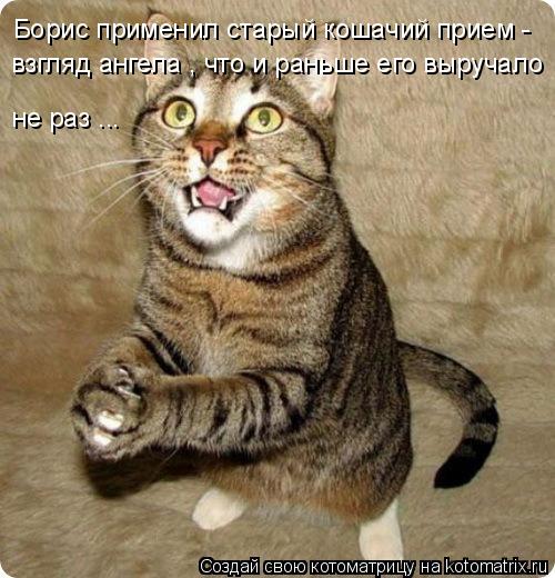 Котоматрица: Борис применил старый кошачий прием - взгляд ангела , что и раньше его выручало  не раз ...