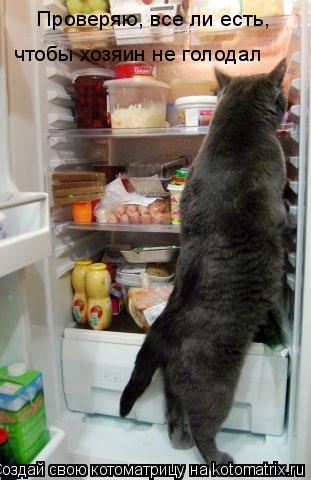 Котоматрица: Проверяю, все ли есть, чтобы хозяин не голодал