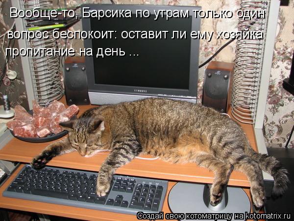 Котоматрица: Вообще-то, Барсика по утрам только один  вопрос беспокоит: оставит ли ему хозяйка пропитание на день ...