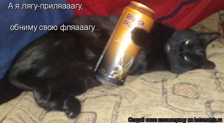 Котоматрица: А я лягу-приляааагу, обниму свою фляааагу...