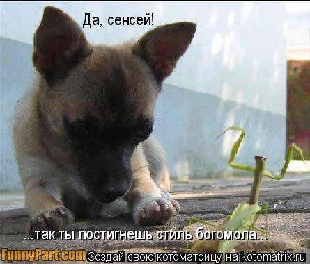 Котоматрица: ...так ты постигнешь стиль богомола... Да, сенсей!