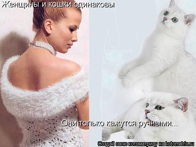 Котоматрица: Женщины и кошки одинаковы Они только кажутся ручными...