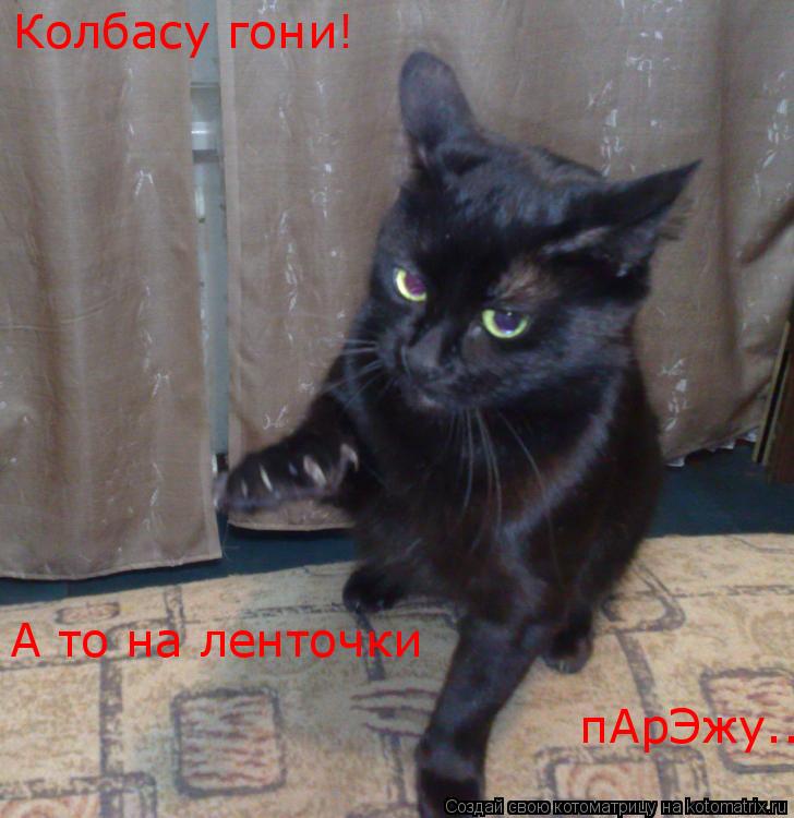 Котоматрица: Колбасу гони! А то на ленточки  пАрЭжу..