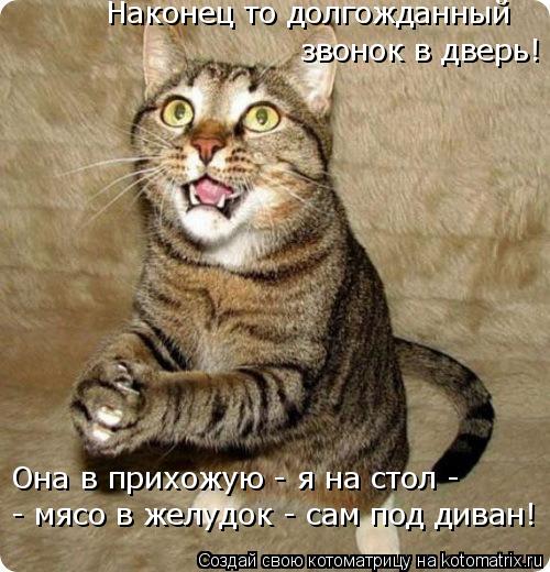 Котоматрица: Наконец то долгожданный  звонок в дверь! Она в прихожую - я на стол -  - мясо в желудок - сам под диван!