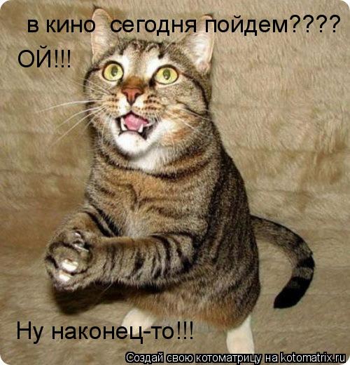 Котоматрица: в кино  сегодня пойдем???? ОЙ!!! Ну наконец-то!!!