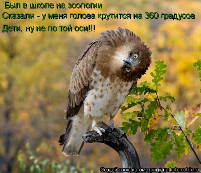 Котоматрица: Был в школе на зоологии Сказали - у меня голова крутится на 360 градусов Дети, ну не по той оси!!!