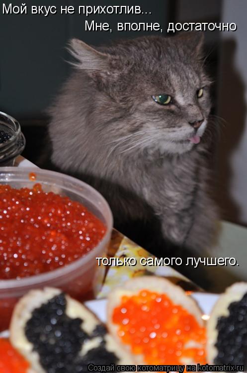 Котоматрица: Мой вкус не прихотлив... Мне, вполне, достаточно  только самого лучшего.