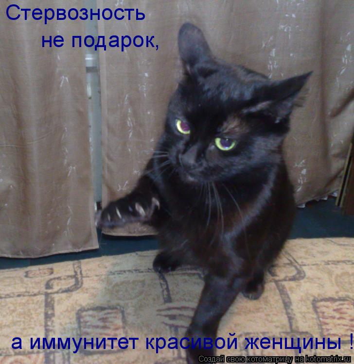 Котоматрица: Стервозность не подарок,  а иммунитет красивой женщины !