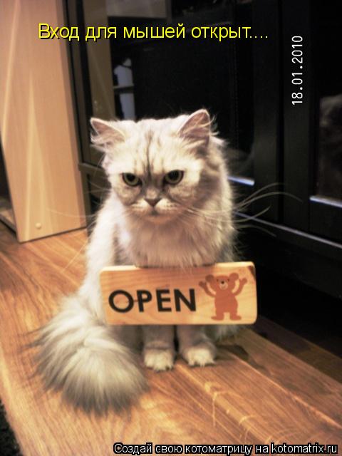 Котоматрица: Вход для мышей открыт....