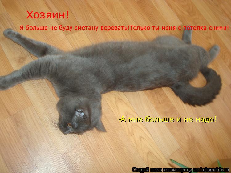 Котоматрица: Хозяин! Я больше не буду сметану воровать!Только ты меня с потолка сними! -А мне больше и не надо!