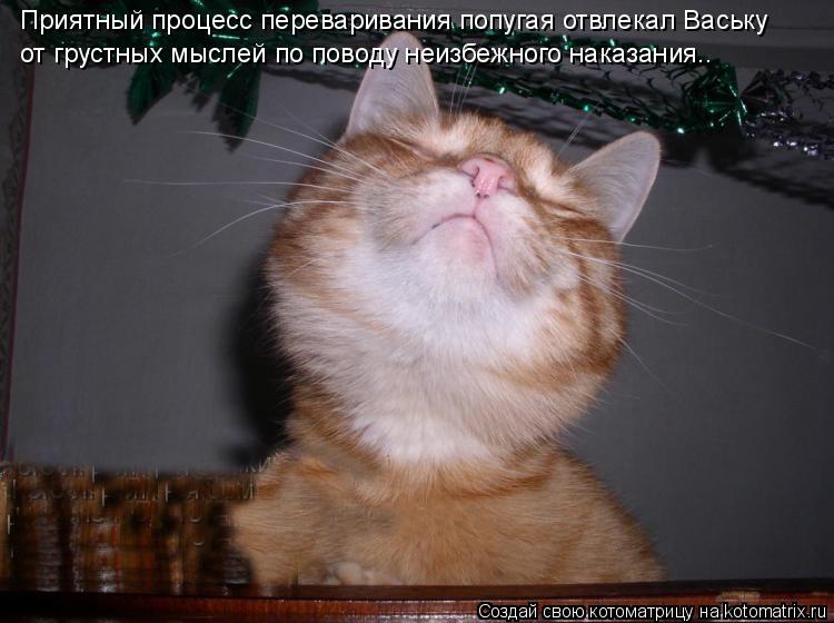 Котоматрица: Приятный процесс переваривания попугая отвлекал Ваську от грустных мыслей по поводу неизбежного наказания..