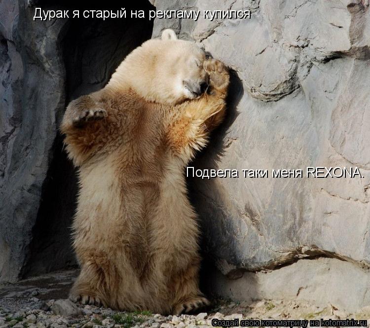 Котоматрица: Дурак я старый на рекламу купился  Подвела таки меня REXONA.