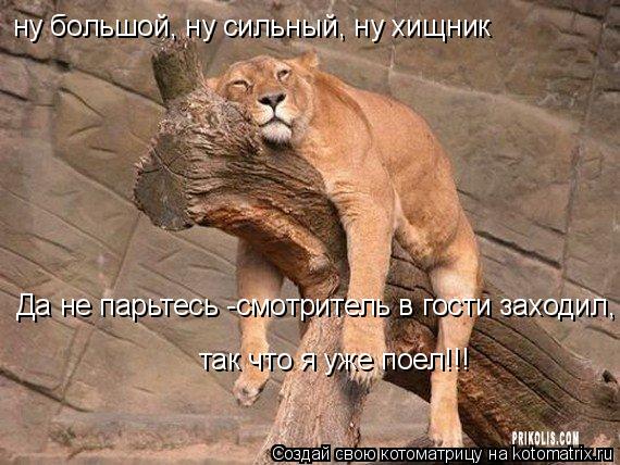 ну большой, ну сильный, ну хищник Да не парьтесь -смотритель в гости заходил, так что я уже поел!!!... Котоматрица: ну большой, ну сильный, ну хищник Да не парьтесь -смотритель в гости заходил, так что я уже поел!!!