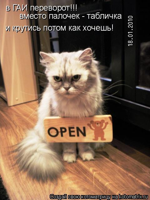 в ГАИ переворот!!! вместо палочек - табличка и крутись потом как хочешь!... Котоматрица: в ГАИ переворот!!! вместо палочек - табличка и крутись потом как хочешь!