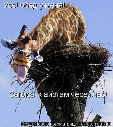 Усё! обед у меня! Запись к аистам через час!... Котоматрица: Усё! обед у меня! Запись к аистам через час!