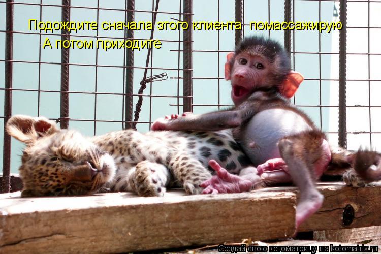 Подождите сначала этого клиента помассажирую А потом приходите... Котоматрица: Подождите сначала этого клиента помассажирую А потом приходите
