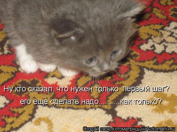 Ну кто сказал, что нужен только первый шаг? его еще сделать надо..........как только?... Котоматрица: Ну кто сказал, что нужен только первый шаг? его еще сделать надо..........как только?
