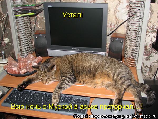 Устал! Всю ночь с Муркой в аське проторчал....!... Котоматрица: Устал! Всю ночь с Муркой в аське проторчал....!