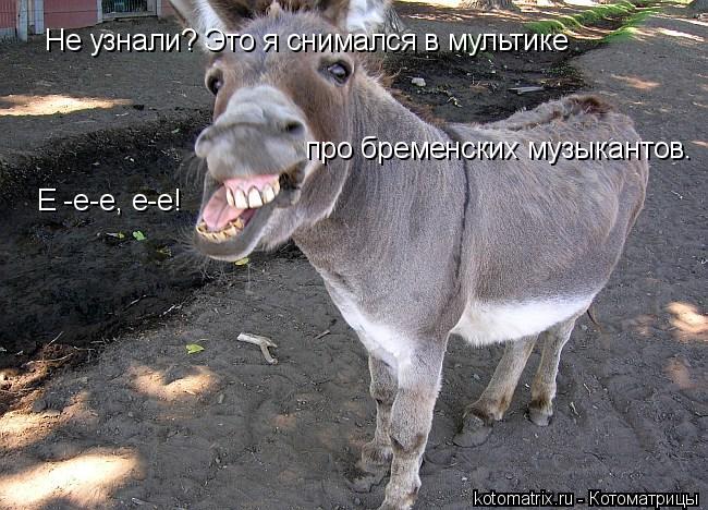 Не узнали? Это я снимался в мультике про бременских музыкантов. Е -е-е, е-е!... Котоматрица: Не узнали? Это я снимался в мультике про бременских музыкантов. Е -е-е, е-е!