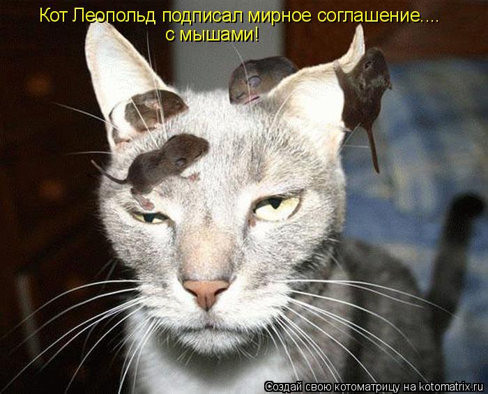 Кот Леопольд подписал мирное соглашение.... с мышами!... Котоматрица: Кот Леопольд подписал мирное соглашение.... с мышами!