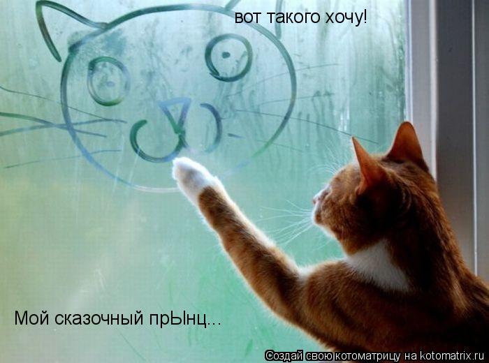 вот такого хочу! Мой сказочный прЫнц...... Котоматрица: вот такого хочу! Мой сказочный прЫнц...