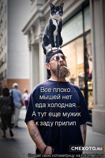 Все плохо... мышей нет еда холодная... А тут еще мужик к заду прилип... Котоматрица: Все плохо... мышей нет еда холодная... А тут еще мужик к заду прилип