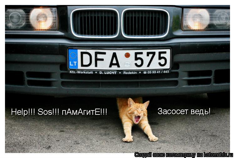 Help!!! Sos!!! пАмАгитЕ!!! Засосет ведь!... Котоматрица: Help!!! Sos!!! пАмАгитЕ!!! Засосет ведь!