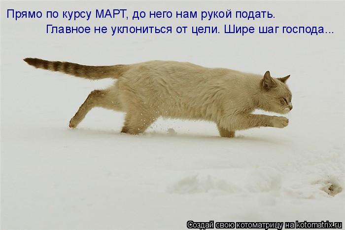 Котоматрица: Прямо по курсу МАРТ, до него нам рукой подать. Главное не уклониться от цели. Шире шаг господа...