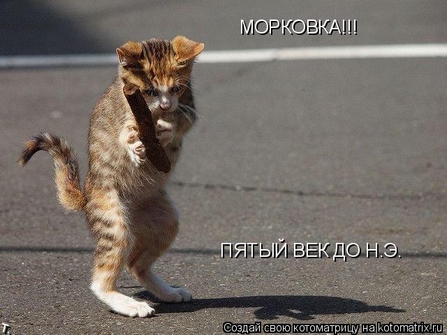 МОРКОВКА!!! ПЯТЫЙ ВЕК ДО Н.Э.... Котоматрица: МОРКОВКА!!! ПЯТЫЙ ВЕК ДО Н.Э.