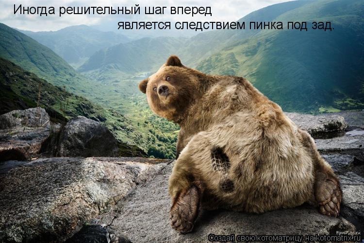 Иногда решительный шаг вперед является следствием пинка под зад.... Котоматрица: Иногда решительный шаг вперед является следствием пинка под зад.