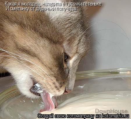 -Какая я молодец, нагадила в тапочки тётеньке.. И сметанку от дяденьки получила.... Котоматрица: -Какая я молодец, нагадила в тапочки тётеньке.. И сметанку от дяденьки получила.