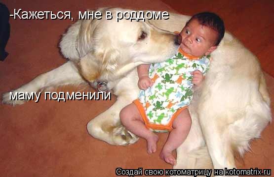-Кажеться, мне в роддоме маму подменили... Котоматрица: -Кажеться, мне в роддоме маму подменили