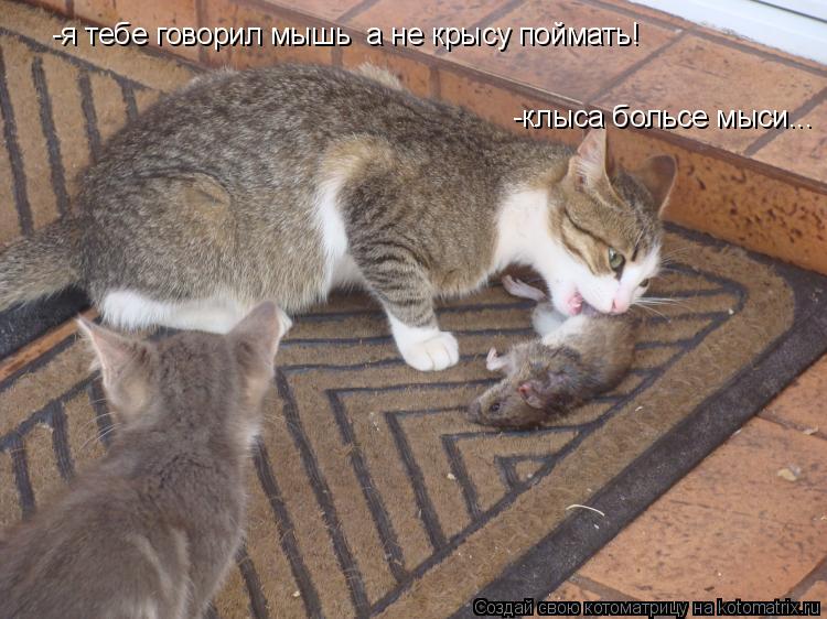 -я тебе говорил мышь а не крысу поймать! -клыса больсе мыси...... Котоматрица: -я тебе говорил мышь а не крысу поймать! -клыса больсе мыси...
